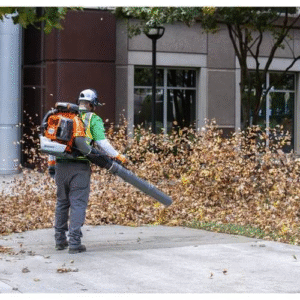 Commercial Commercial Blowers